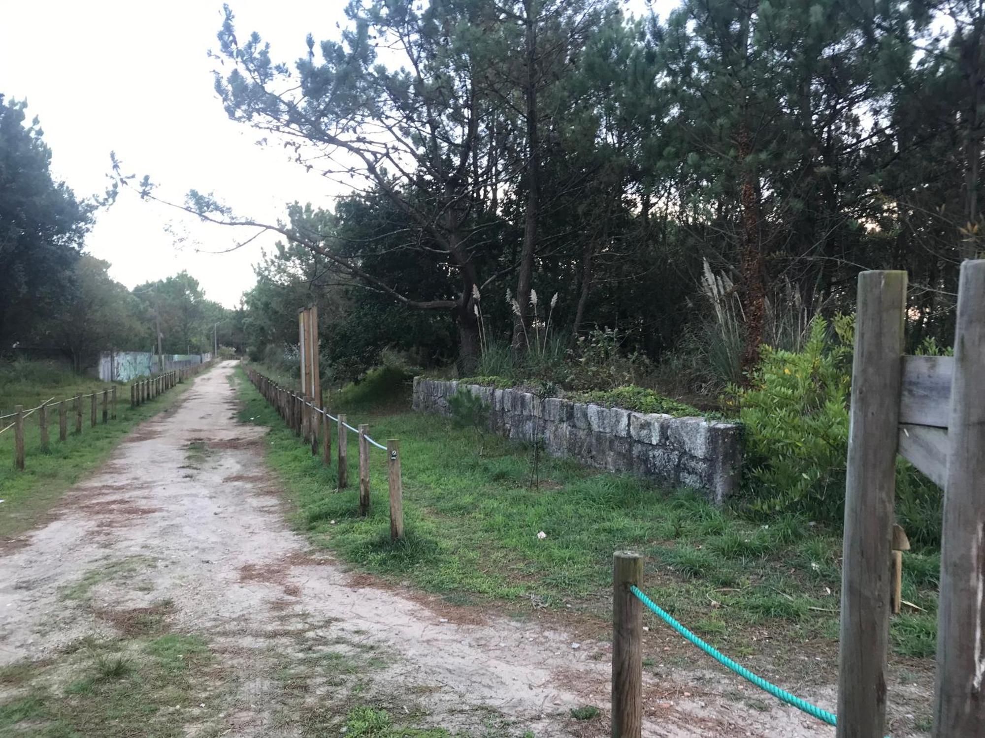 Arvore Cozy Com Jardim Eksteriør billede